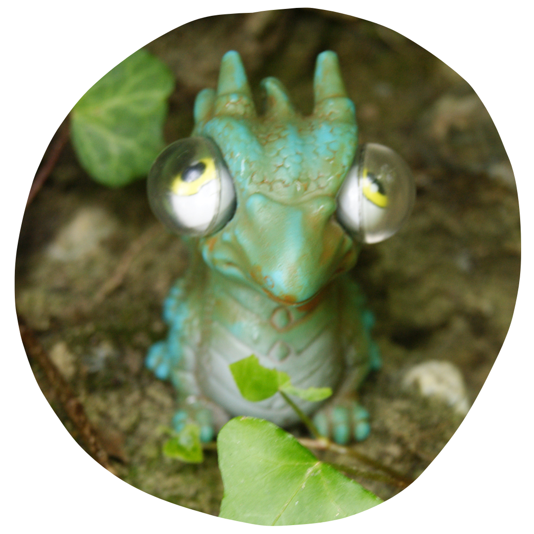 dragon-magie-nomade