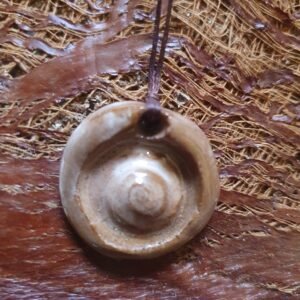 Coquillage du Nil n° 3