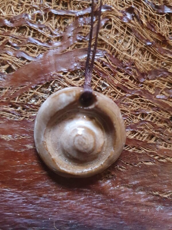 Coquillage du Nil n° 3