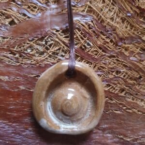 Coquillage du Nil n°5