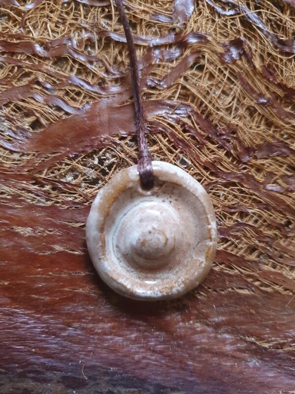Coquillage du Nil n°8