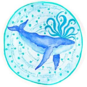 Illustrations